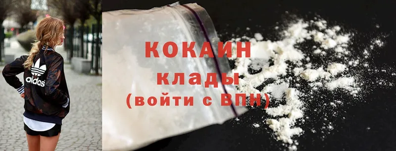 Cocaine Fish Scale  как найти закладки  KRAKEN   Артёмовский 